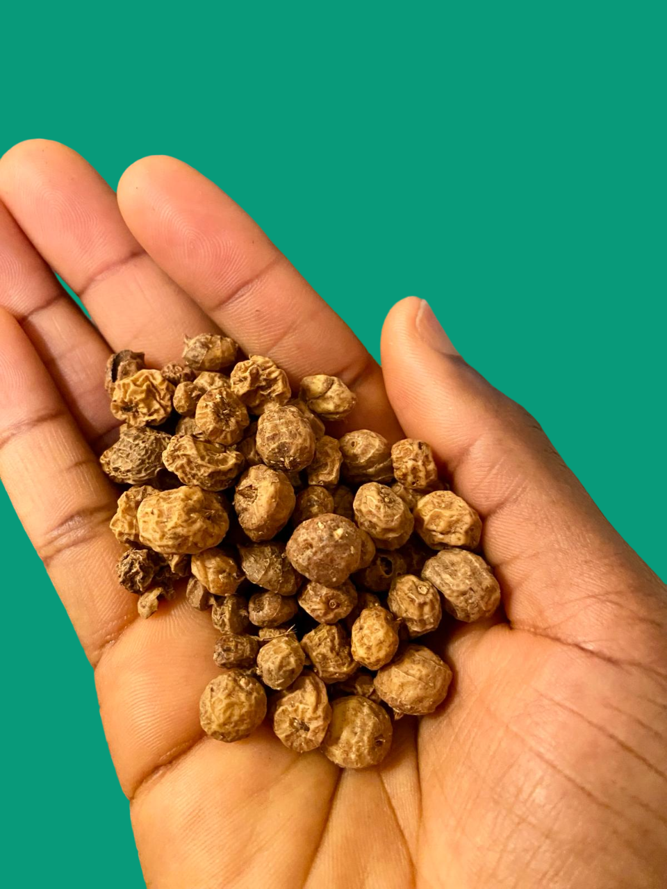 Tiger Nuts